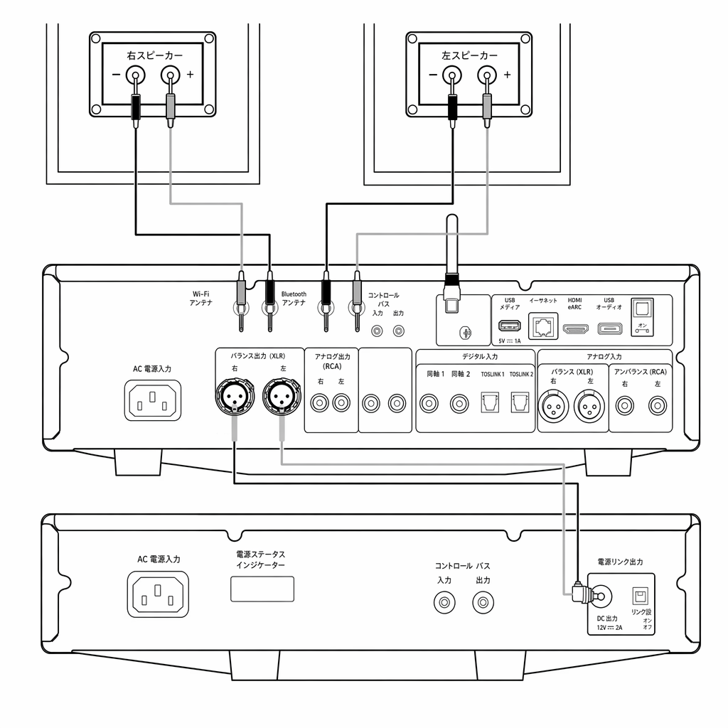 Basic Connection
